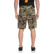 DC Ripstop Cargo Short