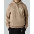 THE NORTH FACE Drew Peak Raglan PO  #  Mushroom grey / Gravel