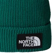 TNF Logo Box Cuffed - Evergreen kötött sapka  