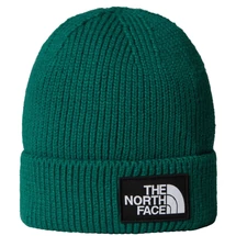 TNF Logo Box Cuffed - Evergreen kötött sapka  